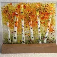 Autumn Birch Trees
